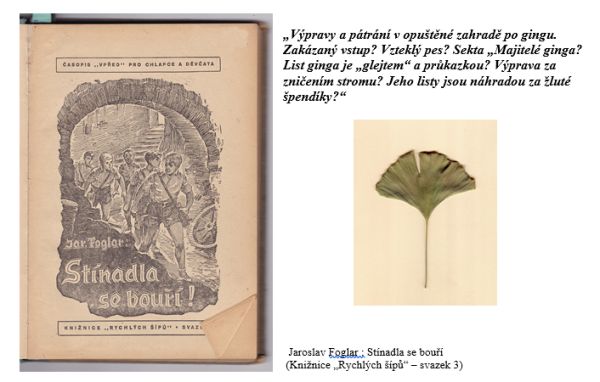 Ginkgo biloba