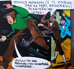 Nedal 13 korun