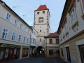 V�stava v M�ln�ku 2020