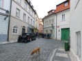 K�est R� Jaroslava Foglara a Marko �erm�ka 13. 10. 2022