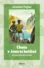 Chata v Jezern� kotlin� (2025)